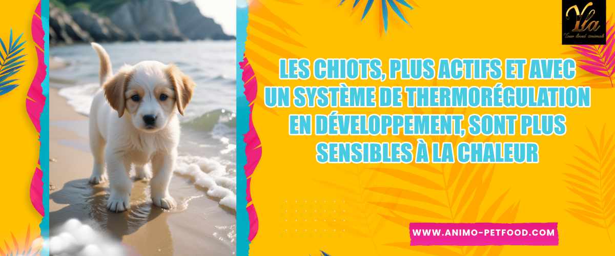 Sensibilité des Chiots à la Chaleur
